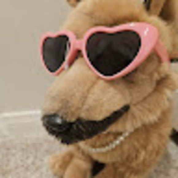 Meet your Posher, Bambi - Picture 1 of 1